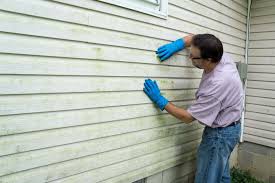 Affordable Siding Repair and Maintenance Services in Hawaiian Beaches, HI